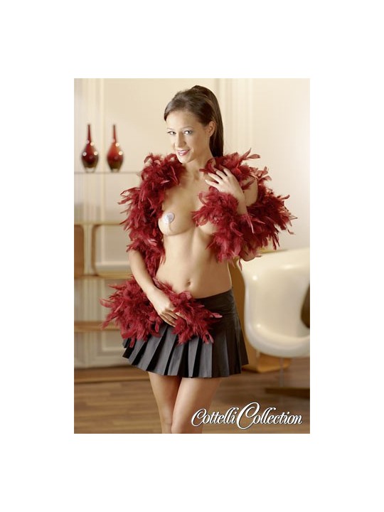 BOA IN VERE PIUME ROSSE \"FEATHER\"